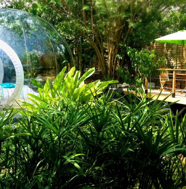 Séjour Glamping 7 jours en Martinique