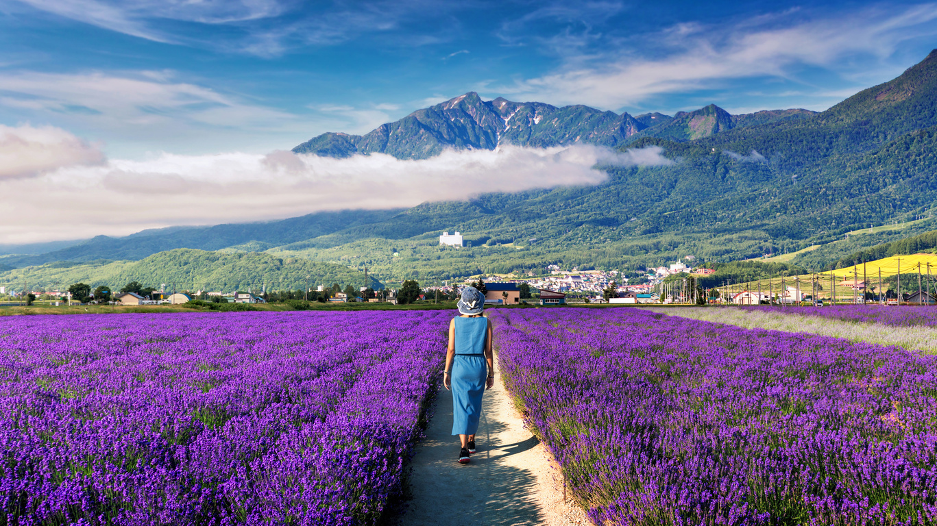 Voyage dans les autres îles japonaises 