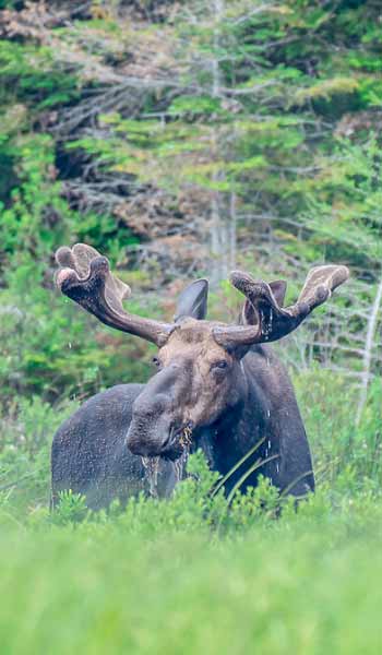 Nature & Parc Nationaux