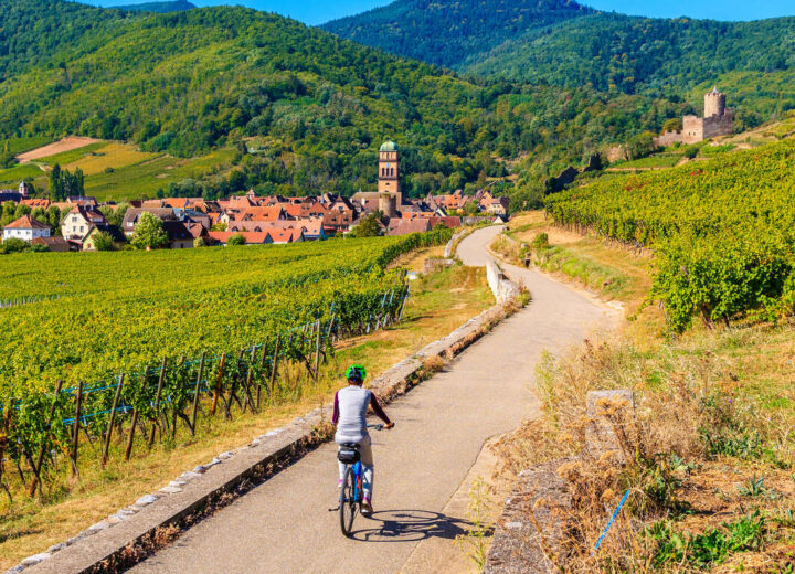 Immersion sur la Route des Vins d’Alsace