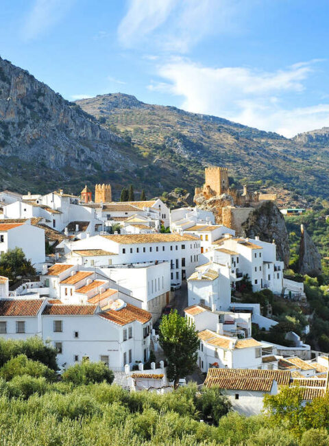 Andalousie au rythme de vos envies