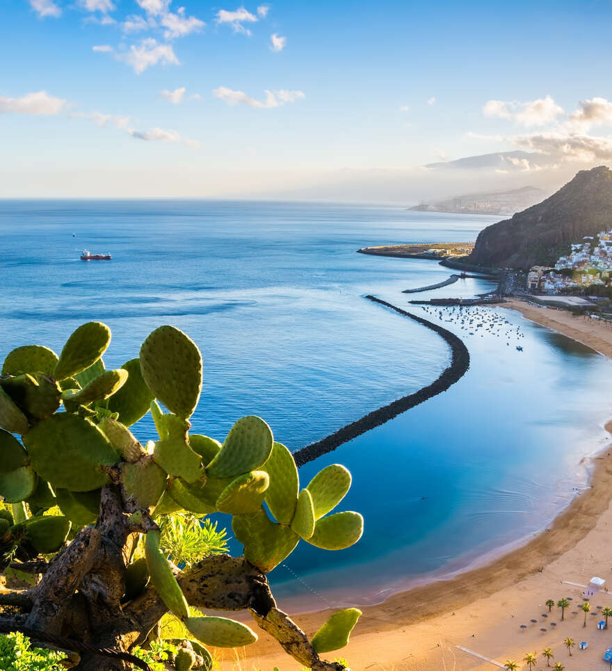 forum voyage tenerife