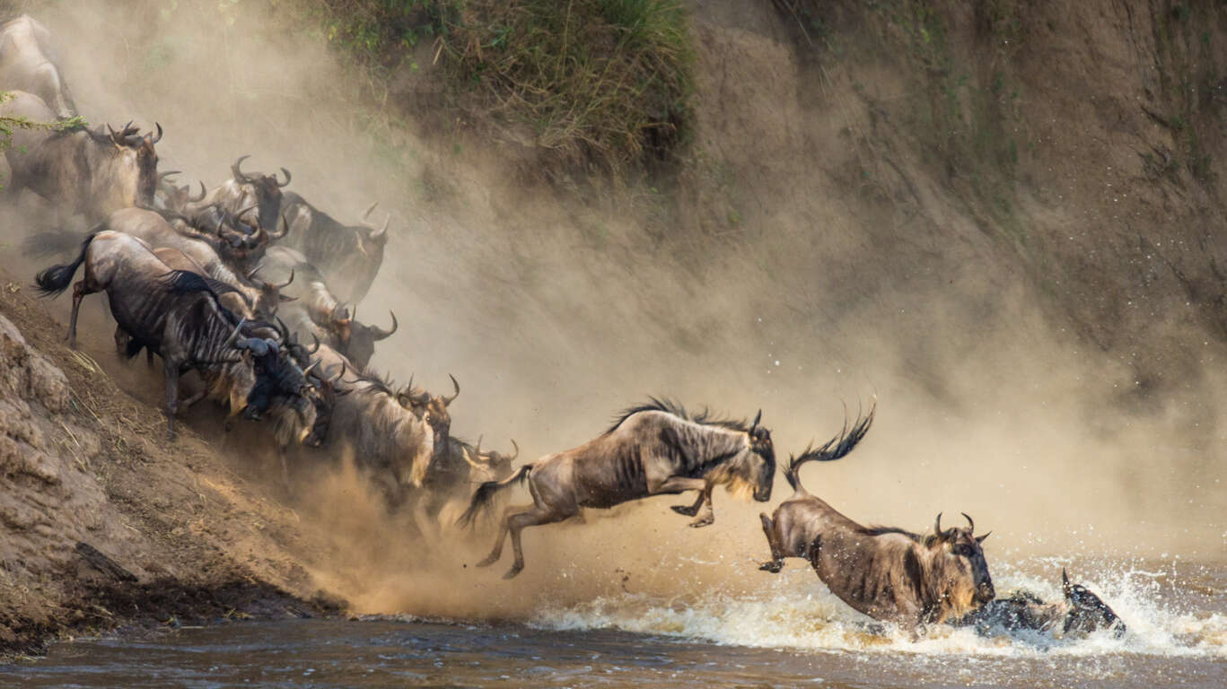 Voyage au Serengeti, Ngorongoro, Kilimandjaro et le Nord