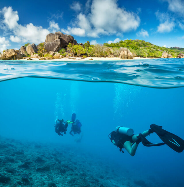 Plongée et snorkeling aux Seychelles