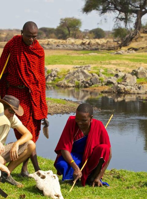 Selous, Ruaha et Sud Tanzanie