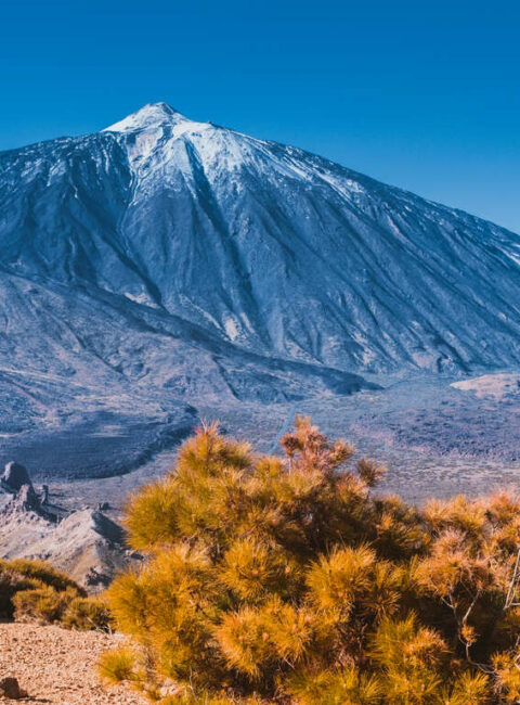 Tenerife