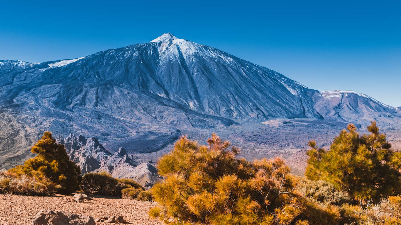 Voyage Tenerife