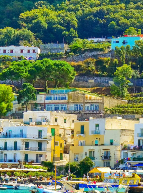 Capri