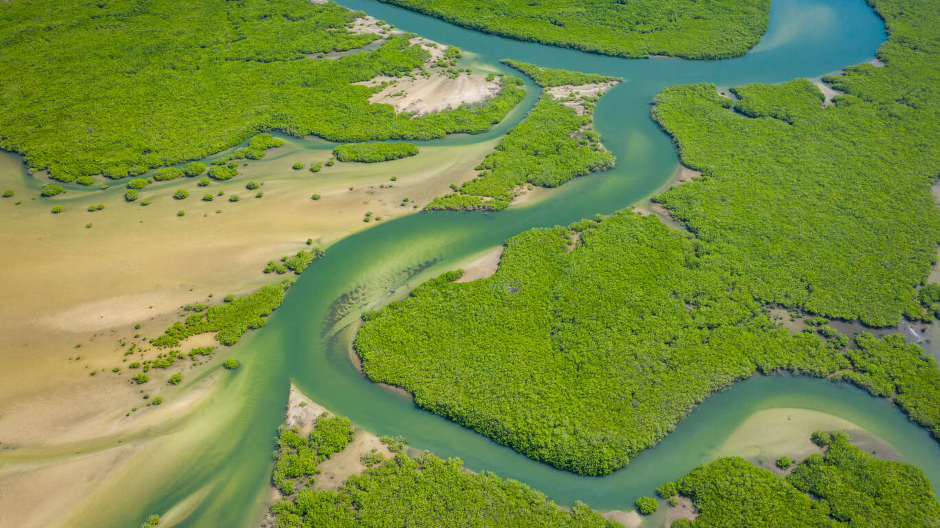 Voyage dans le delta du Saloum