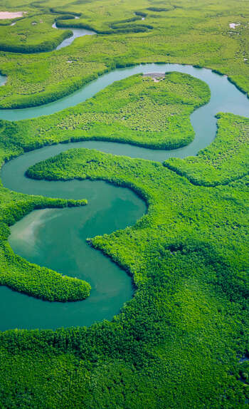 Nature et Ecotourisme du Sénégal