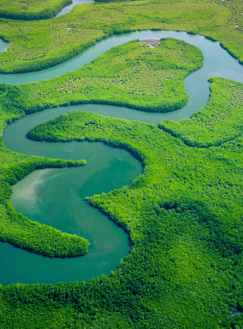 Casamance