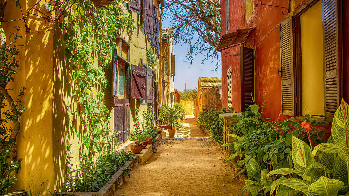 Voyage sur l'île de Gorée