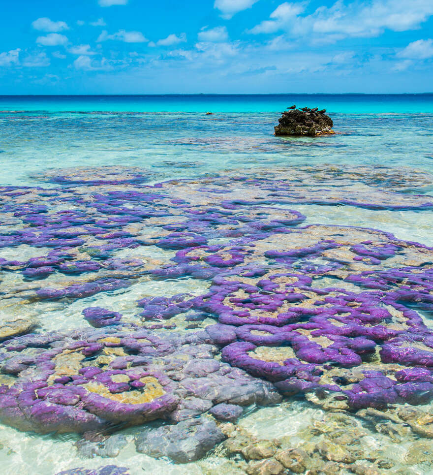Que voir lors d'un séjour à Bora Bora ?