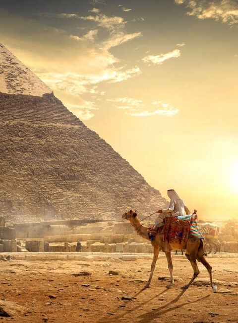 Découverte en groupe d'Alexandrie jusqu'à Abou Simbel