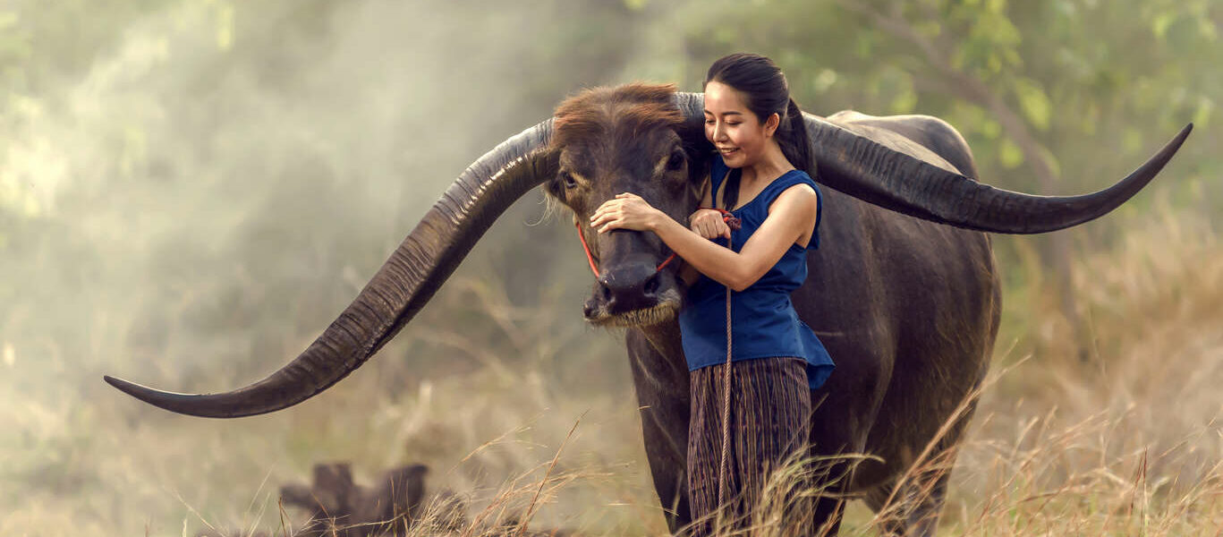 Immersion en Thaïlande