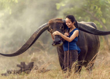 Immersion en Thaïlande