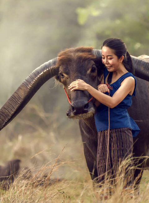 Immersion en Thaïlande