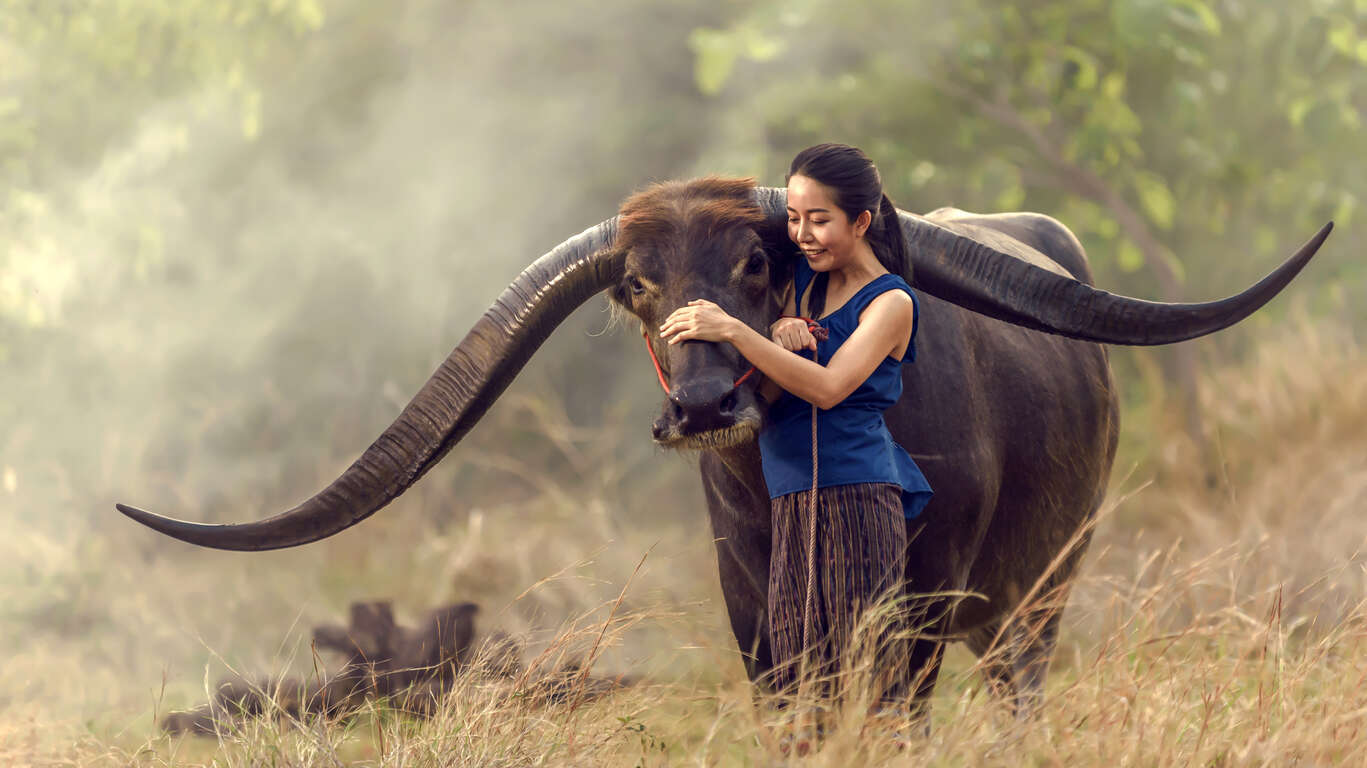 Immersion en Thaïlande
