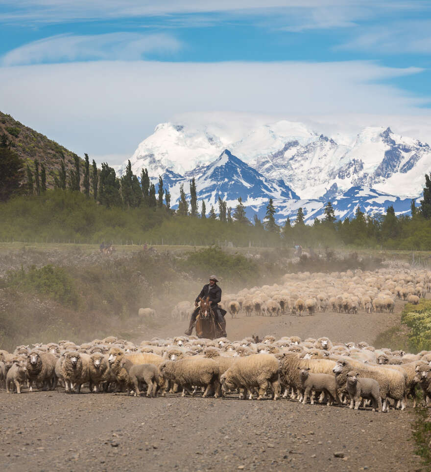 Quelles sont les traditions locales à El Calafate ? 