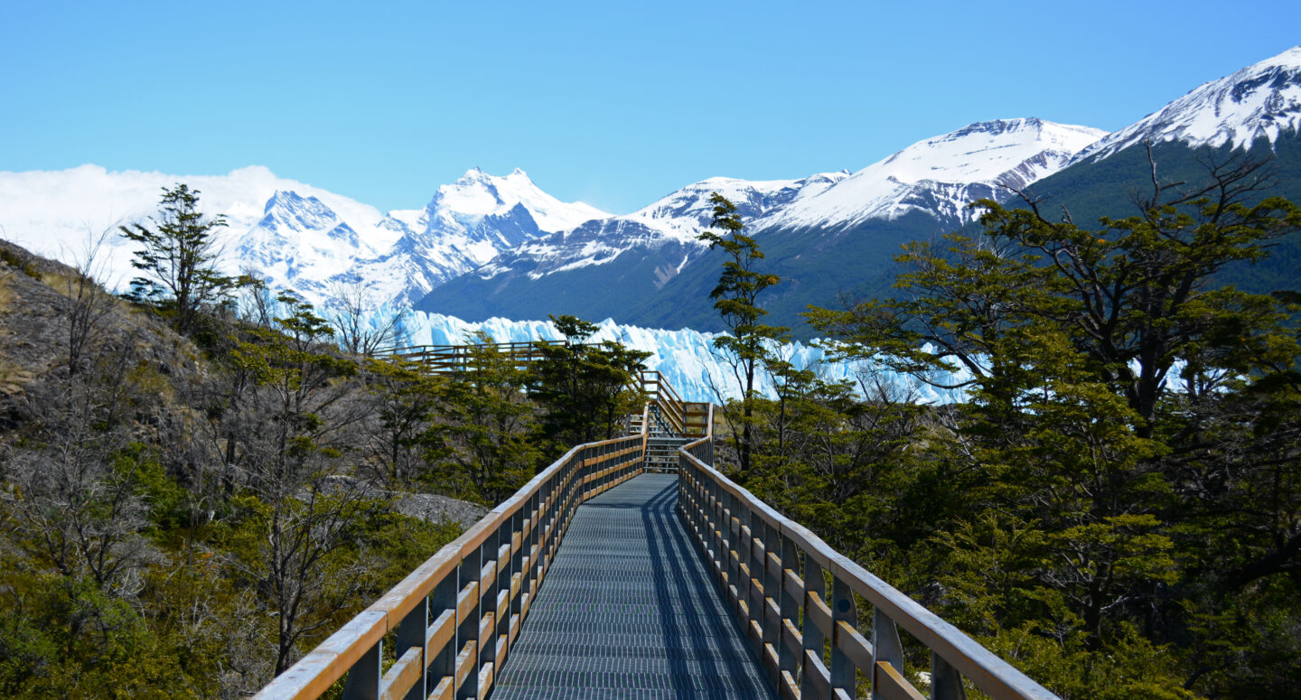 Voyage à El Calafate