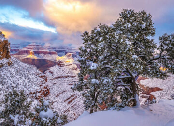 Grand Canyon State en hiver