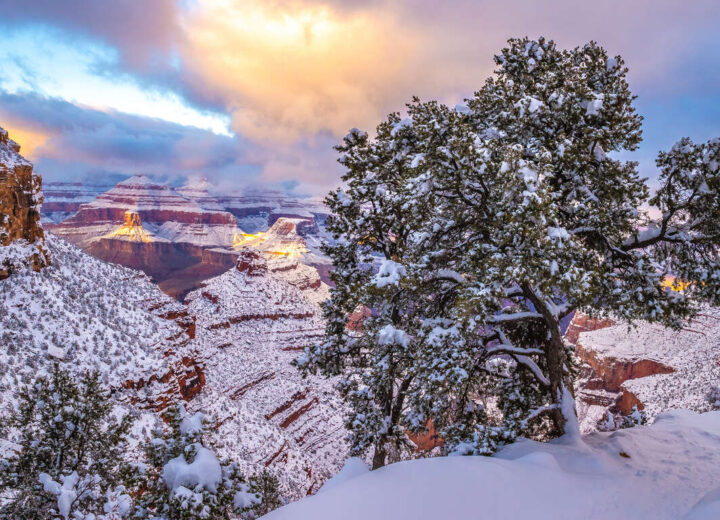 Découverte de l’Arizona en hiver