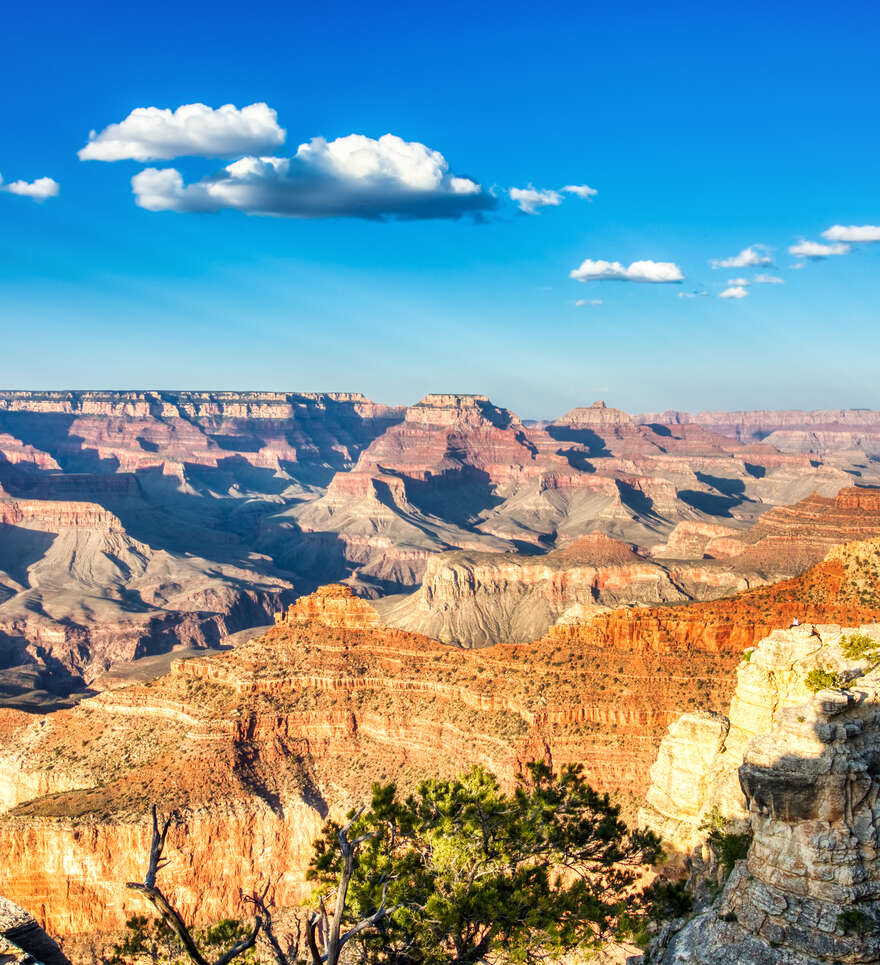 Grand Canyon et Monument Valley en Arizona
