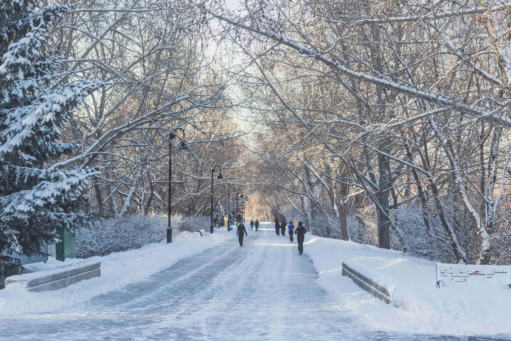 Calgary en hiver 