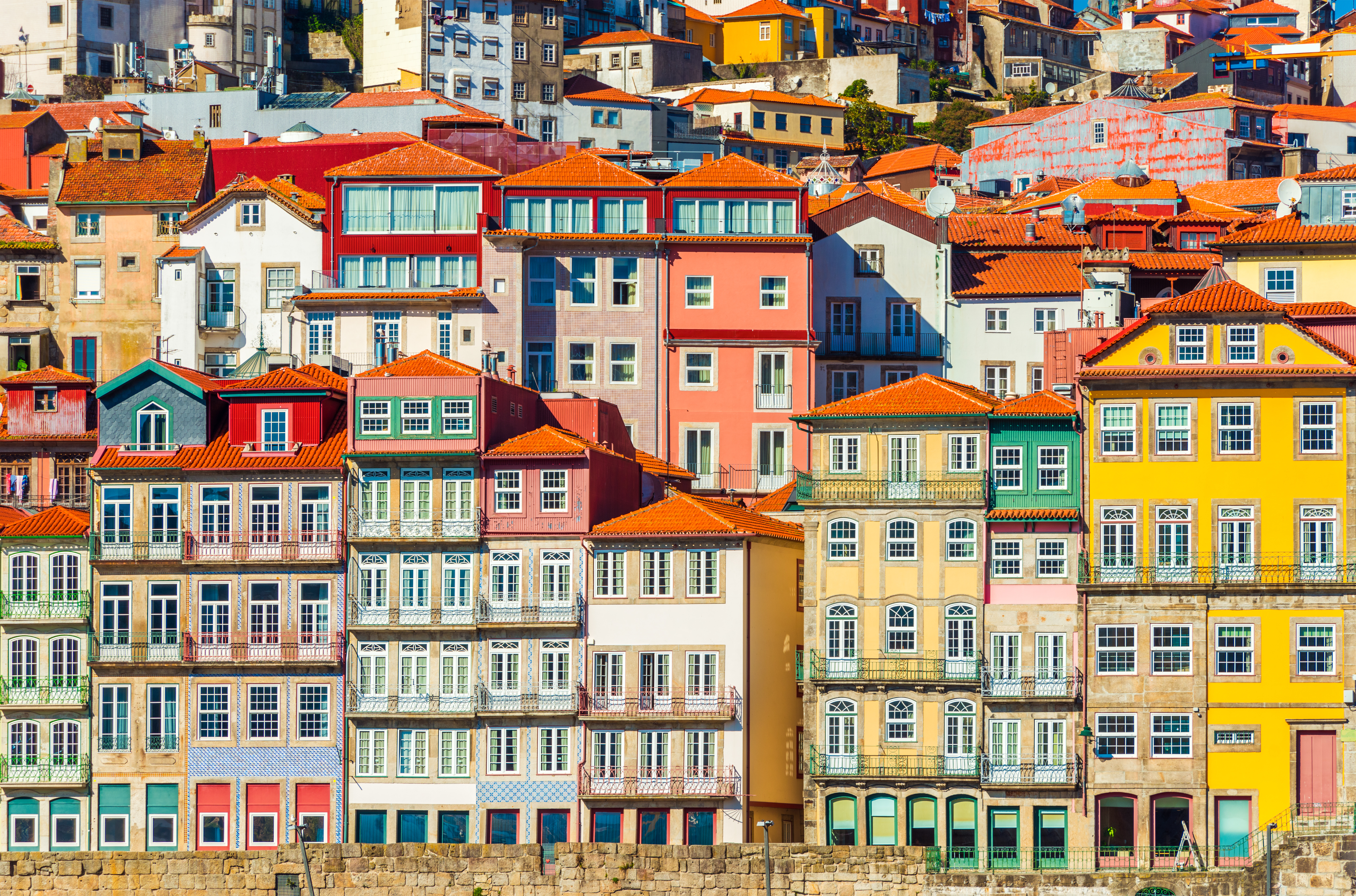 Cap vers le Nord portuguais : entre Obidos, Porto, et Aveiro 