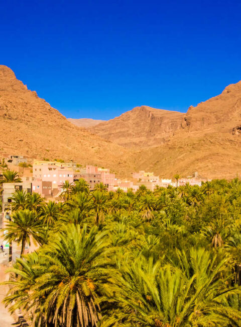 La route des kasbahs et le désert au rythme de vos envies