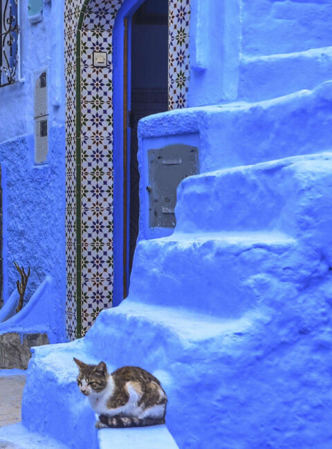 Fès, Chefchaouen et Tanger au rythme de vos envies