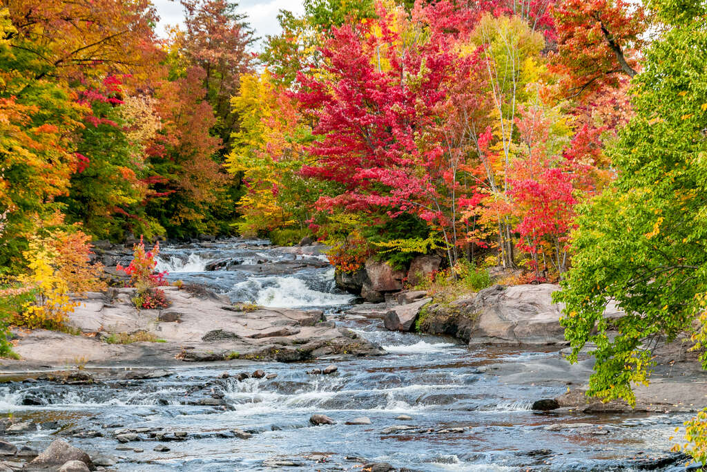 automne au canada