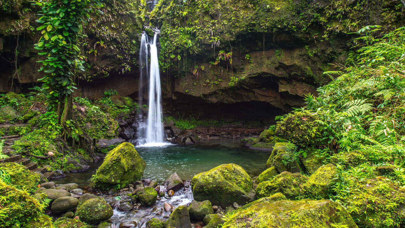 Séjour nature à La Dominique 