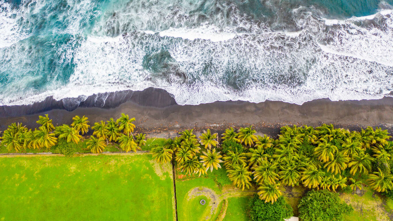 Merveilles des Caraïbes