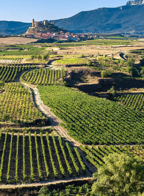 Pays Basque, Castille et Rioja, autotour complice au rythme de vos envies