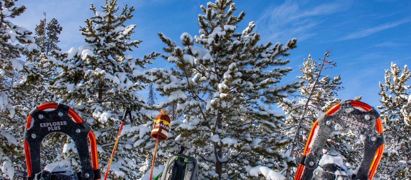 Séjour 8 jours à Yellowstone en hiver