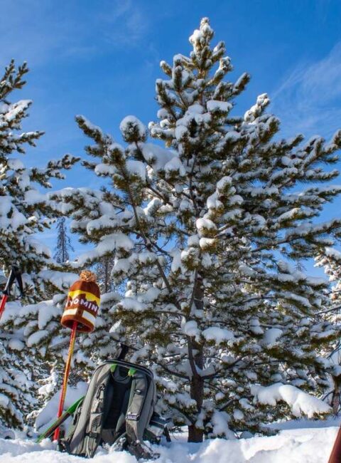La magie de l'hiver à Yellowstone