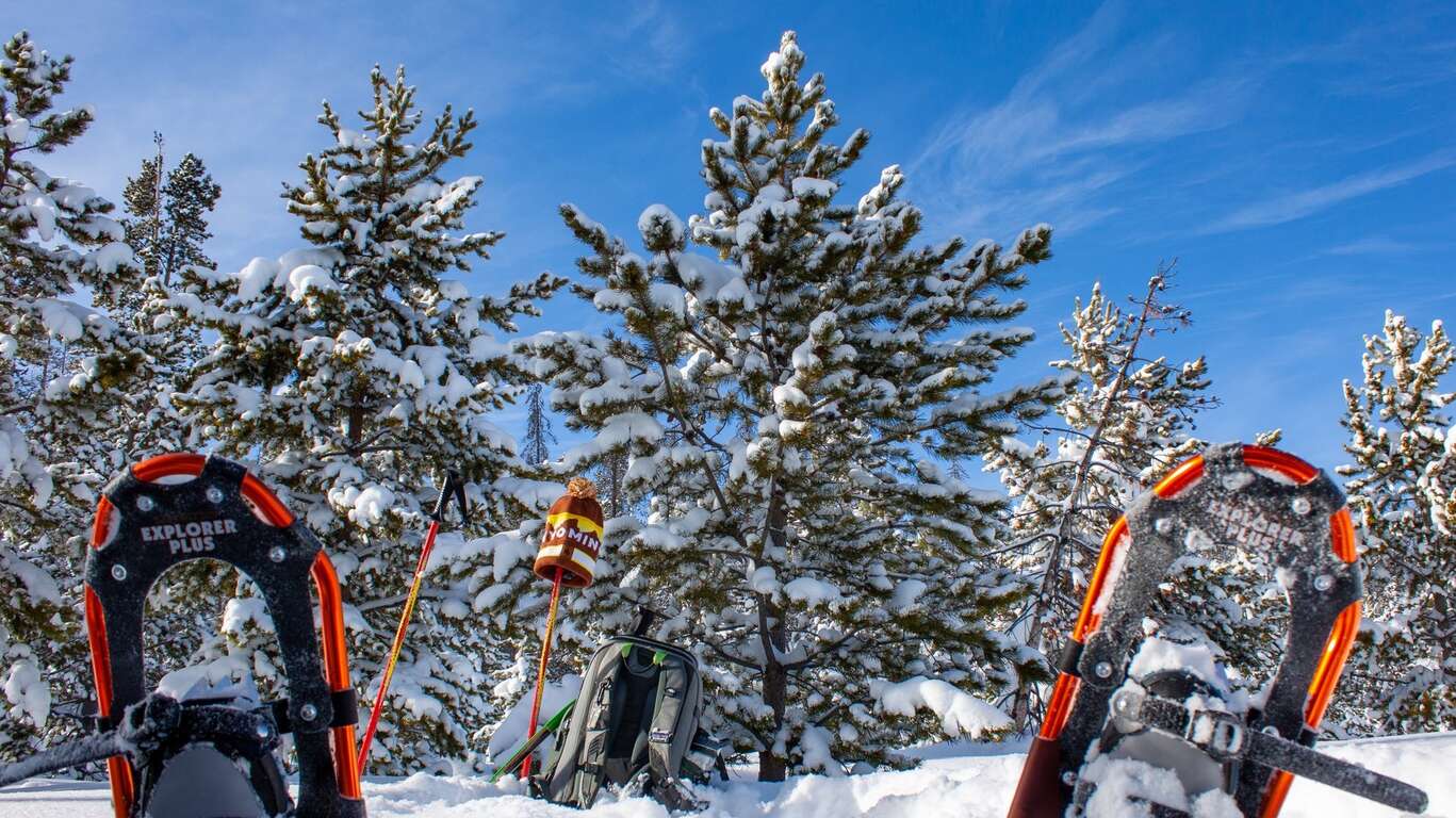 Séjour en hiver dans le parc national de Yellowstone