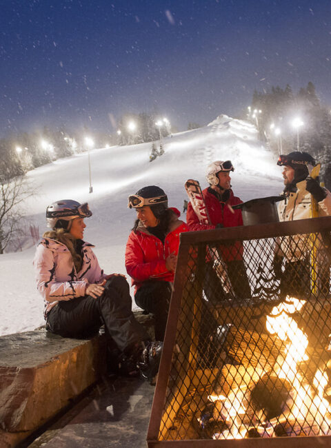 Au Rythme de l'Hiver Québécois