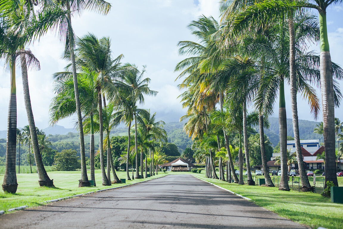 Autotour Martinique