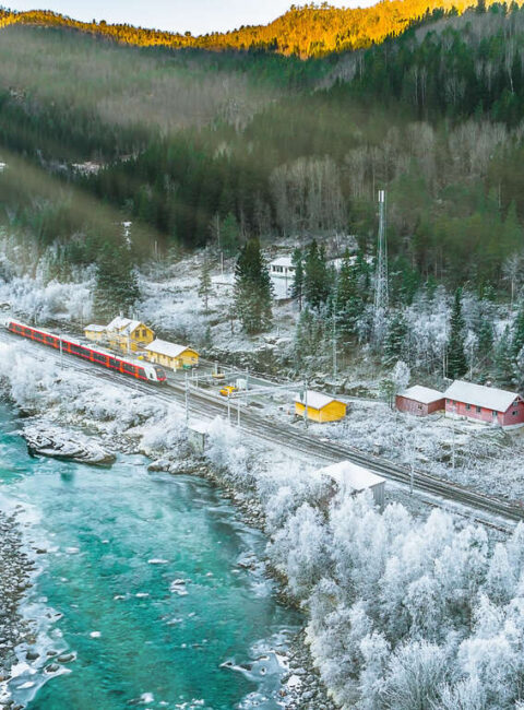 Voyage hivernal en train d'Oslo à Bergen