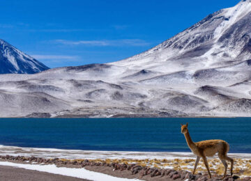 Le Chili en petit groupe : Patagonie et Atacama