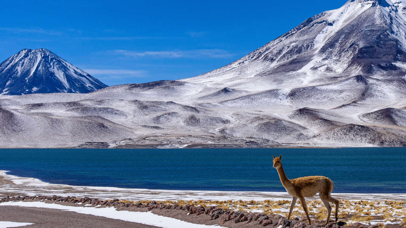 Le Chili en petit groupe : Patagonie et Atacama