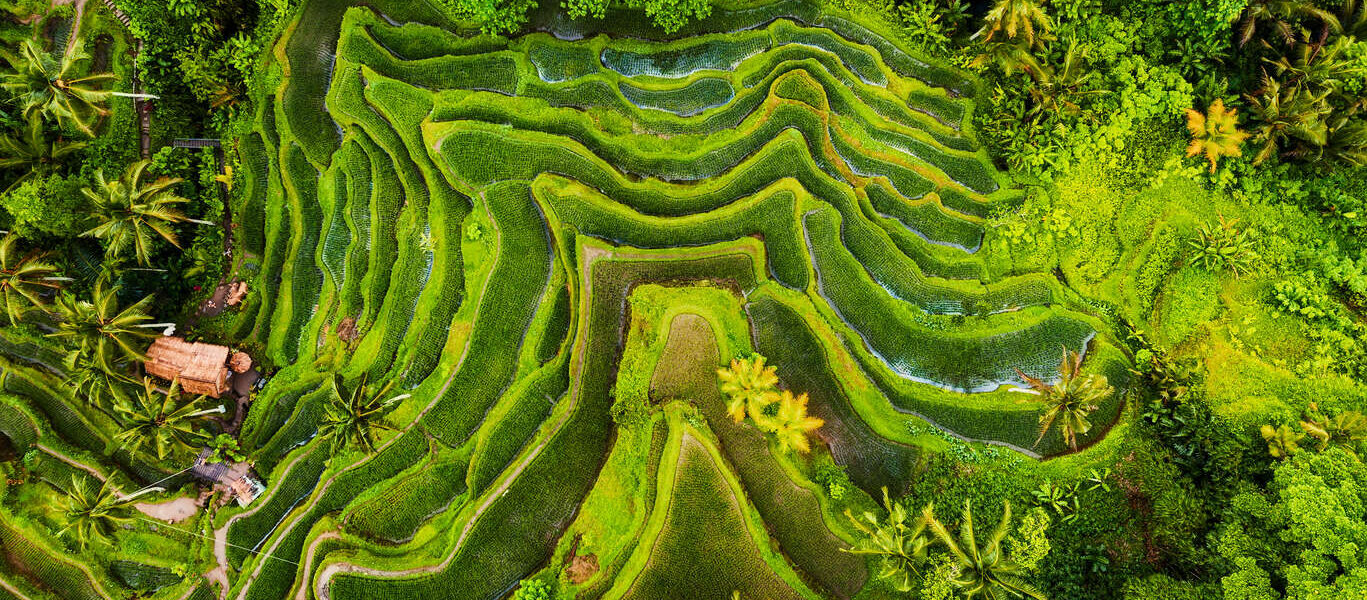 Circuit privé en Indonésie