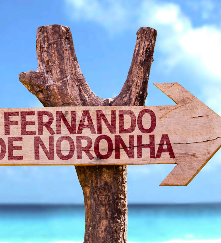 Quand partir à Fernando de Noronha ? 