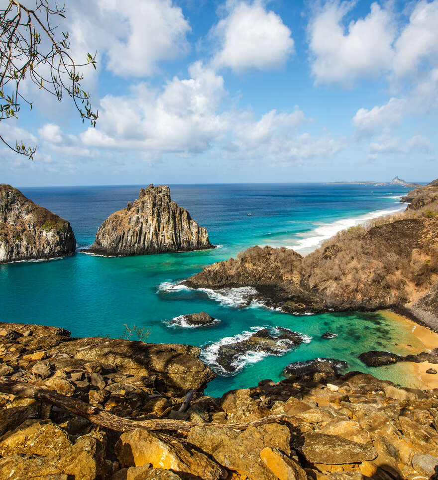 Partez pour une découverte de Fernando de Noronha 