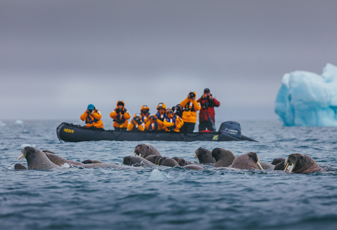 Croisière Svalbard