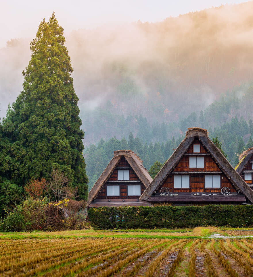 Pourquoi un autotour au Japon avec Cercle des Voyages ?