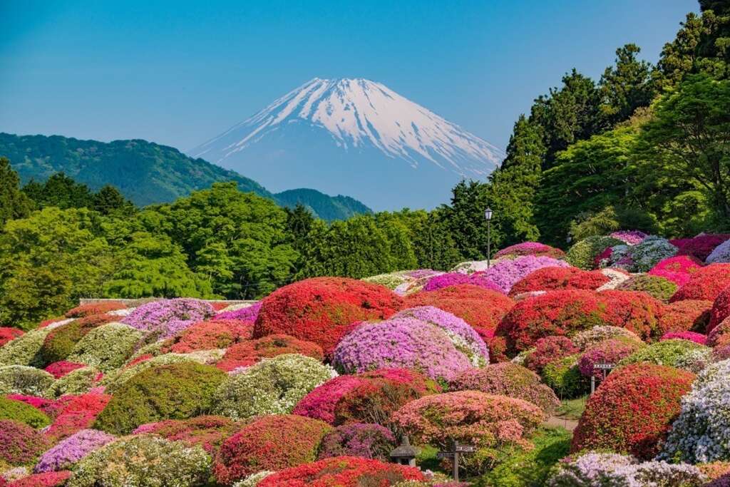 Mont Fuji depuis la région d'Hakone