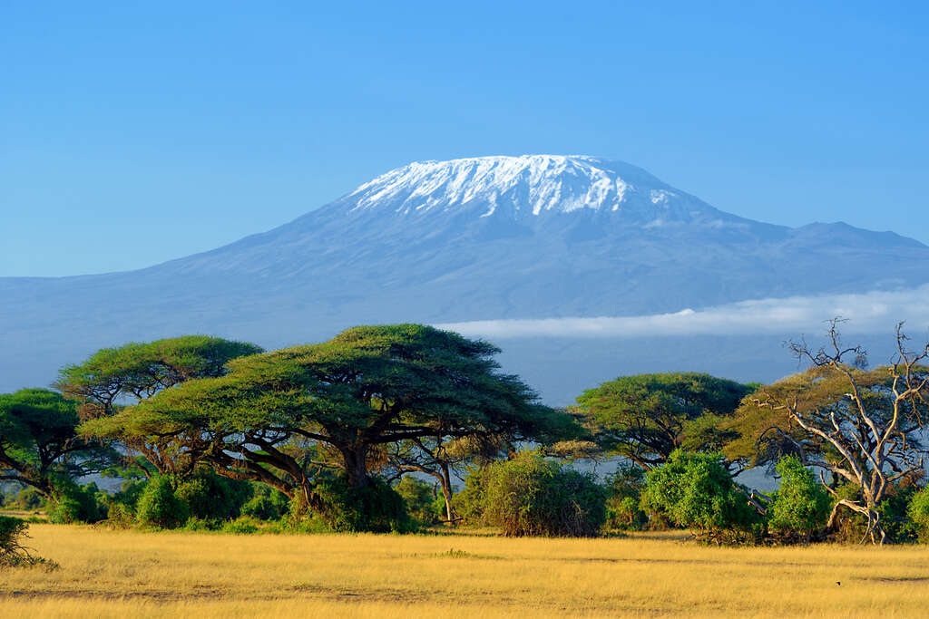 Mont Kilimandjaro